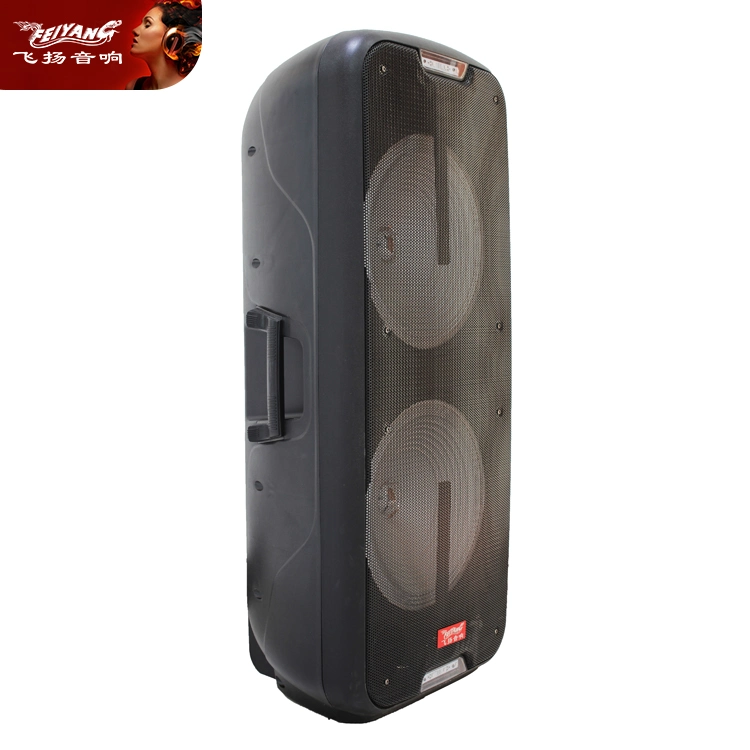 Portable Wireless PA Stereo Active Hot Sale Big Double 10 Inch Audio Loud Speaker System